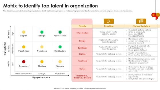 Strategic Talent Development Matrix To Identify Top Talent In Organization Structure PDF