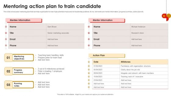 Strategic Talent Development Mentoring Action Plan To Train Candidate Ideas PDF