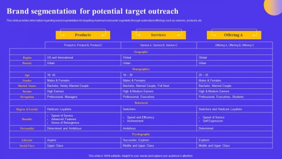 Strategic Toolkit For Brand Performance Enhancement Brand Segmentation For Potential Target Outreach Inspiration PDF