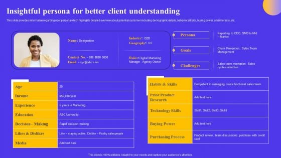 Strategic Toolkit For Brand Performance Enhancement Insightful Persona For Better Client Understanding Rules PDF