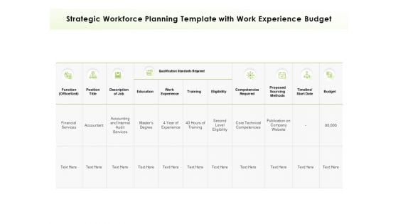 Strategic Workforce Planning Template With Work Experience Budget Ppt PowerPoint Presentation Visual Aids Pictures