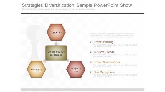 Strategies Diversification Sample Powerpoint Show