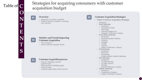 Strategies For Acquiring Consumers With Customer Acquisition Budget Ppt PowerPoint Presentation Complete Deck With Slides
