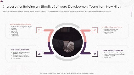 Strategies For Building An Effective Software Development Team From New Hires Structure PDF