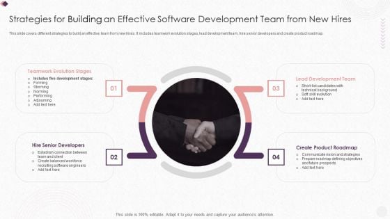 Strategies For Building An Effective Software Development Team From New Hires Structure PDF