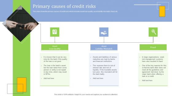 Strategies For Credit Risk Management Primary Causes Of Credit Risks Mockup PDF