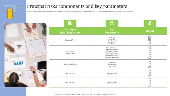 Strategies For Credit Risk Management Principal Risks Components And Key Parameters Formats PDF