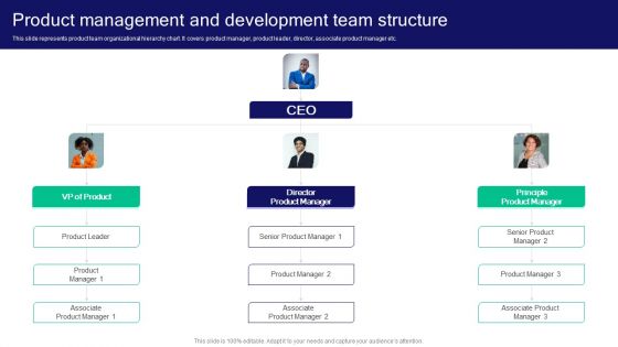 Strategies For Effective Product Product Management And Development Team Structure Professional PDF