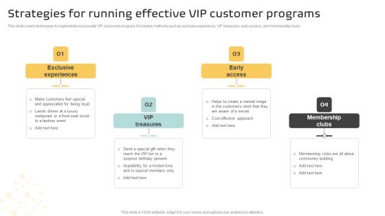 Strategies For Running Effective Vip Customer Programs Themes PDF