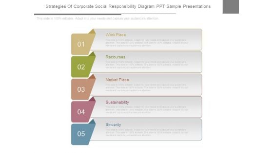 Strategies Of Corporate Social Responsibility Diagram Ppt Sample Presentations