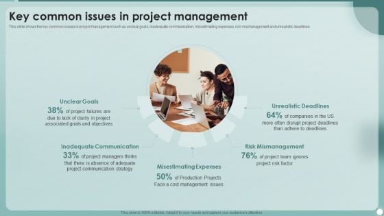 Strategies To Enhance Project Management Process Key Common Issues In Project Management Introduction PDF