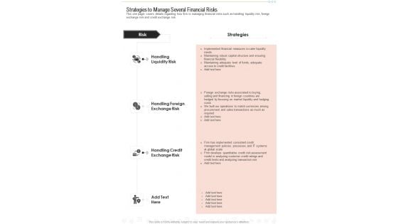 Strategies To Manage Several Financial Risks One Pager Documents