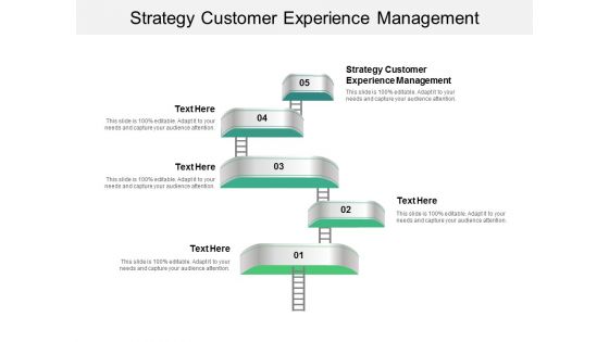 Strategy Customer Experience Management Ppt PowerPoint Presentation Icon Sample Cpb