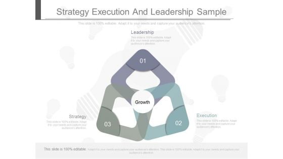 Strategy Execution And Leadership Sample