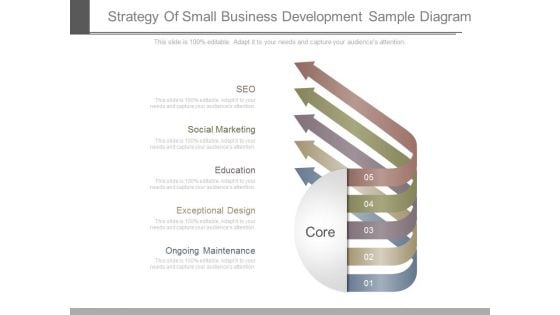 Strategy Of Small Business Development Sample Diagram