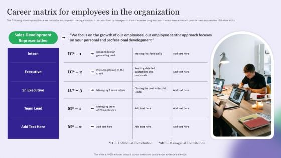 Strategy Playbook For Pharmaceutical Sales Representative Career Matrix For Employees In The Organization Download PDF