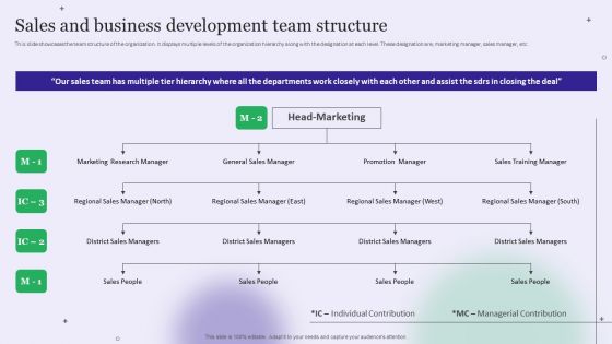 Strategy Playbook For Pharmaceutical Sales Representative Sales And Business Development Team Structure Infographics PDF