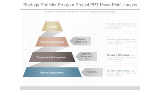 Strategy Portfolio Program Project Ppt Powerpoint Images