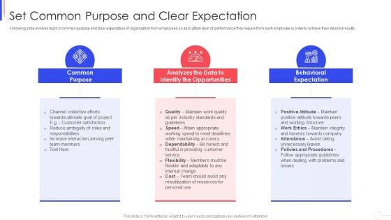 Strategy To Improve Team Proficiency Set Common Purpose And Clear Expectation Themes PDF