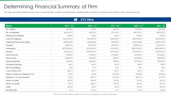 Strawman Project Action Plan Determining Financial Summary Of Firm Microsoft PDF