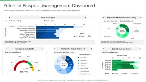 Strawman Project Action Plan Potential Prospect Management Dashboard Formats PDF