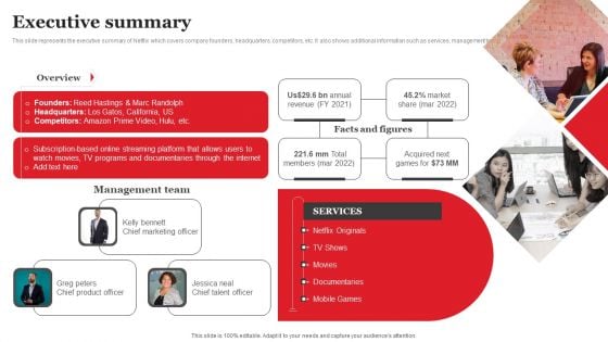 Streaming Platform Company Outline Executive Summary Elements PDF