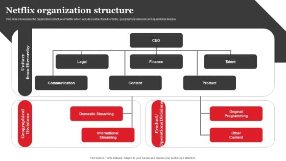 Streaming Platform Company Outline Netflix Organization Structure Microsoft PDF