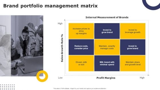 Streamlining Brand Portfolio Technique Brand Portfolio Management Matrix Download PDF