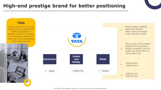 Streamlining Brand Portfolio Technique High End Prestige Brand For Better Positioning Elements PDF