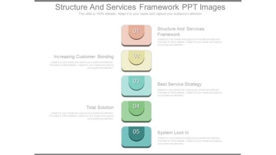 Structure And Services Framework Ppt Images