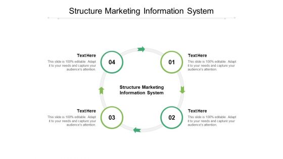 Structure Marketing Information System Ppt PowerPoint Presentation Styles Graphics Pictures Cpb