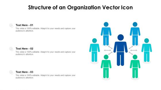 Structure Of An Organization Vector Icon Ppt PowerPoint Presentation Gallery Backgrounds PDF