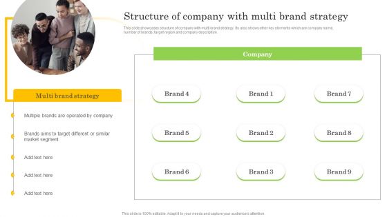Structure Of Company With Multi Brand Strategy Elements PDF