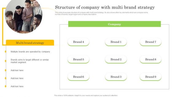 Structure Of Company With Multi Brand Strategy Elements PDF Structure Of Company With Multi Brand Strategy Elements PDF