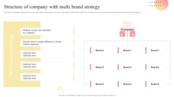 Structure Of Company With Multi Brand Strategy Multi Branding Approaches For Different Download PDF