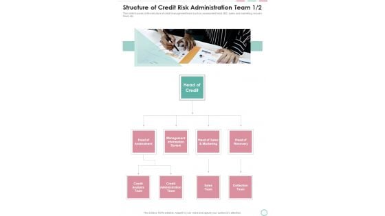 Structure Of Credit Risk Administration Team One Pager Sample Example Document