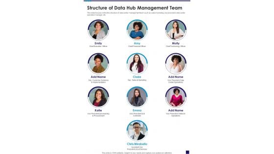 Structure Of Data Hub Management Team One Pager Sample Example Document