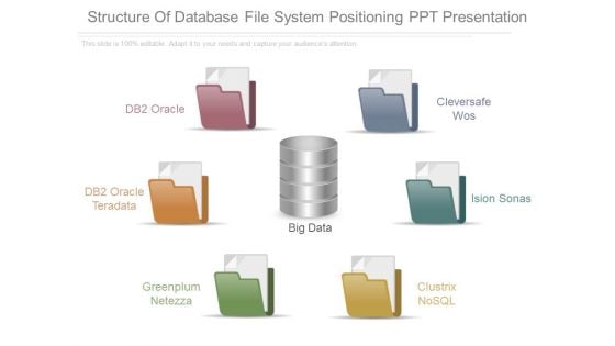 Structure Of Database File System Positioning Ppt Presentation