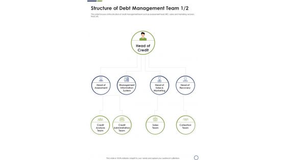 Structure Of Debt Management Team One Pager Sample Example Document