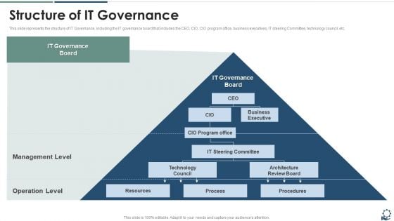 Structure Of IT Governance Structure PDF