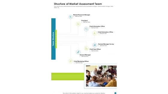 Structure Of Market Assessment Team One Pager Sample Example Document