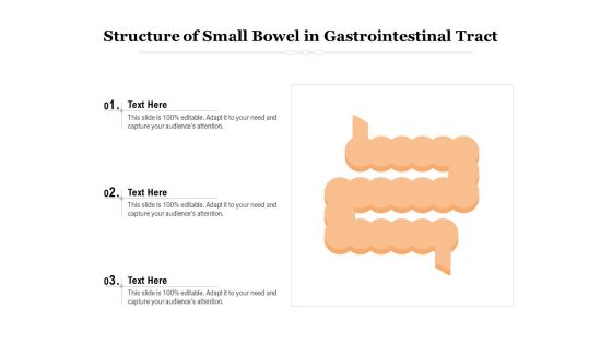 Structure Of Small Bowel In Gastrointestinal Tract Ppt PowerPoint Presentation Slides PDF