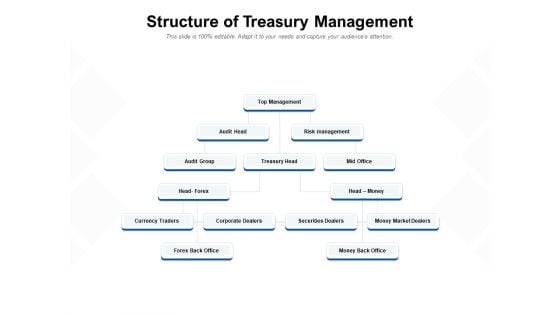 Structure Of Treasury Management Ppt PowerPoint Presentation Summary Slide Download