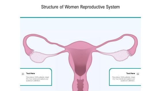 Structure Of Women Reproductive System Ppt PowerPoint Presentation Gallery Outfit PDF