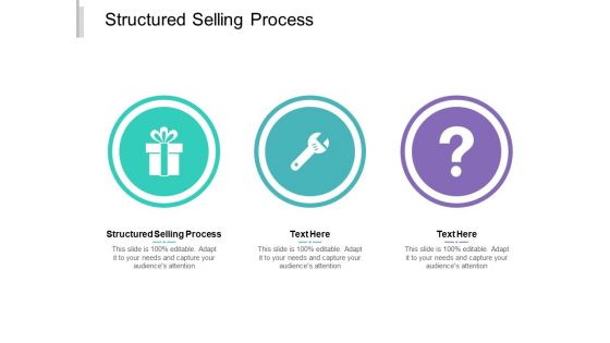 Structured Selling Process Ppt PowerPoint Presentation Rules Cpb