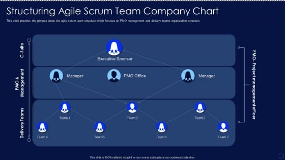 Structuring Agile Scrum Team Company Chart Ppt PowerPoint Presentation File Icon PDF