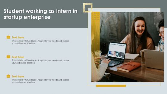 Student Working As Intern In Startup Enterprise Ideas PDF