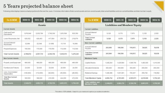 Submission Of Project Viability Report For Bank Loan 5 Years Projected Balance Sheet Slides PDF