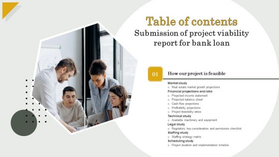 Submission Of Project Viability Report For Bank Loan Table Of Contents Elements PDF