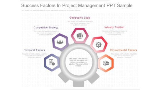 Success Factors In Project Management Ppt Sample